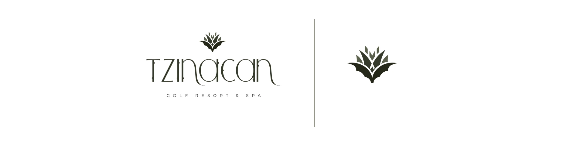 Logo completo e isotipo